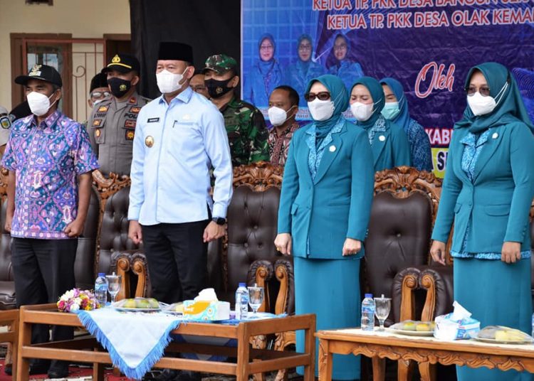 PKK Tabir