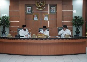 Optimalisasi