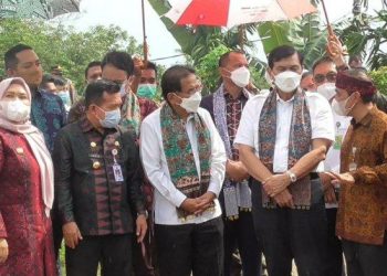 Kunjungan Luhut