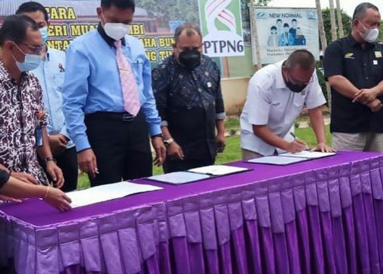 PTPN VI - Kejari Muaro Jambi