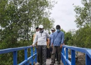 Perlindungan Kawasan Hutan Mangrove