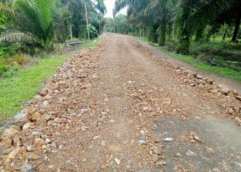 Jalan Desa Pematang Rahim yang sudah dikerjakan