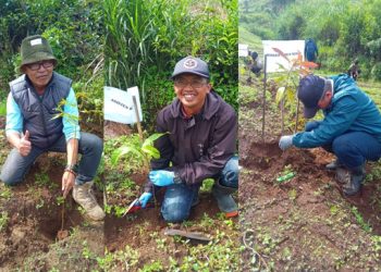 Manajemen Kebun Sedep PTPN I Regional 2 Lakukan Penanaman Pohon