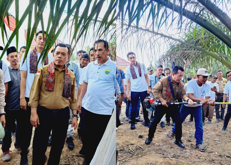 Program Dumisake Perkebunan di masa kepemimpinan Gubernur Jambi Al Haris dan Wakil Gubernur Jambi Abdullah Sani terus dilaksanakan