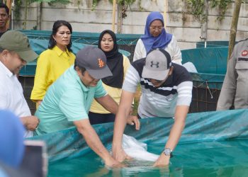 Pimpinan dan para istri karyawan PTPN IV Regional 4 ini, langsung ke Kampung Bantar Sukasari RT 39 kelurahan Thehok menjumpai warga dan menyebar 950 ekor bibit ikan Nila dan Gurami serta mengedukasi warga membuat Biopori