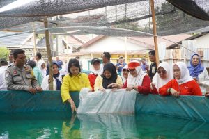 Saat pelepasan bibit ikan, tampak Ketua IKBI PTPN IV Regional 4 Lina Ospin dan Region Head PTPN IV Regional 4 Ospin Sembiring memasukan 700 bibit ikan Gurami dan 250 ikan Nila 