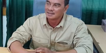 Yulfi Alfikri Noer S.IP., M.AP