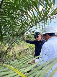 Menurut Jatmiko, insan PTPN IV PalmCo mutlak berahklak, lepas dari praktik-praktik kecurangan agar mampu profesional dan menjadi bagian dari keunggulan bersaing 