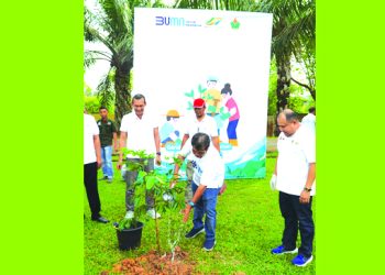 Hari ini secara serentak seluruh kebun kita ikut menanam pohon. Kita juga memberikan bantuan 30 bibit pohon untuk Balai Pengairan Wilayah Jambi yang mereka tanam di aliran Sungai Batanghari.