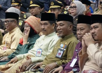 Merangin diumumkan sebagai kabupaten terbaik kedua pada lomba desa tingkat Provinsi Jambi, yang diraih Desa Rawa Jaya Kecamatan Tabir Selatan