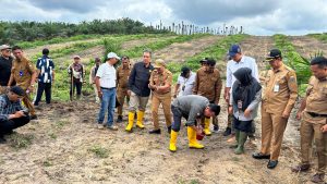 Bersama Direktorat Jenderal (Dirjen) Perkebunan Kementerian Pertanian RI dan Dinas Perkebunan Jambi, melakukan penanaman Padi Gogo disela-sela tanaman kelapa sawit rakyat hasil PSR PTPN IV Regional 4 Jambi