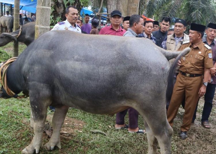 Festival Memantai Adat