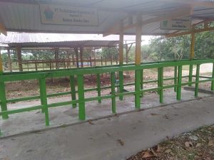 Bantuan ini merupakan dalah satu program Tanggung Jawab Sosial Dan Lingkungan perusahaan. kata Manager Kebun Rimbo Dua, Marnaek saat menyerahkan dua lapak ternak yang baru dibangun jika dikomversikan ke uang senilai Rp 6.000.000,-
