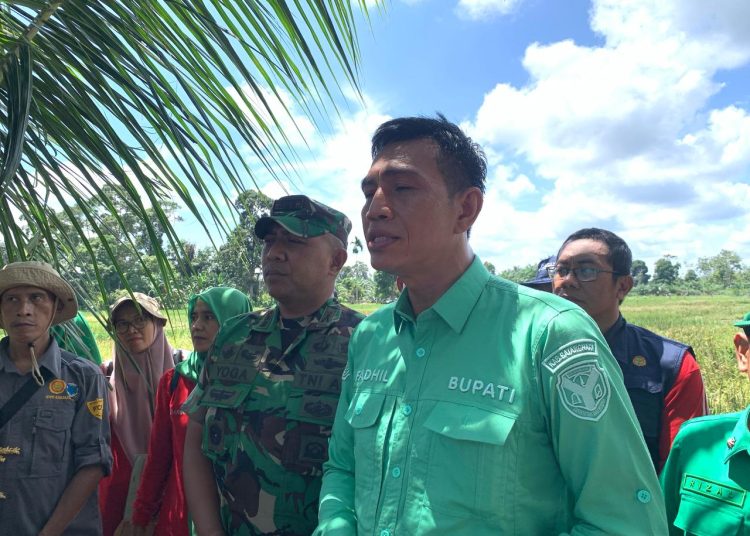 Bupati Batanghari Muhammad Fadhil Arief melaksanakan penanaman padi serentak di seluruh wilayah Provinsi Jambi