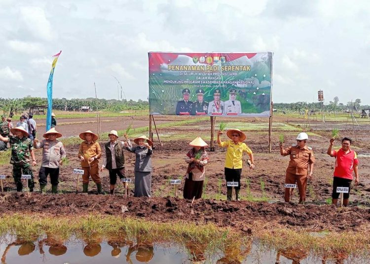 Penanaman Padi Serentak