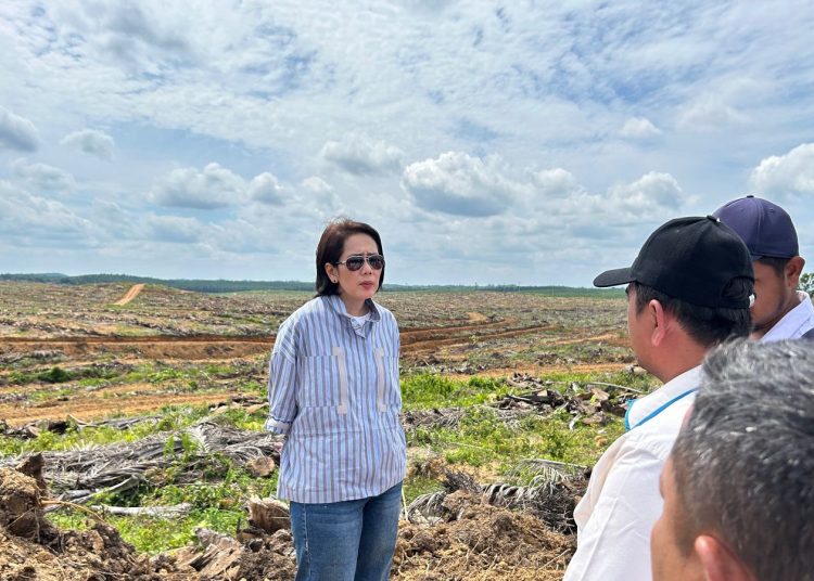 Direktur Keuangan dan Manajemen Risiko PTPN IV PalmCo Hilda Savitri saat mengunjungi areal tanam ulang sawit Perusahaan. Hilda berpesan kepada Kartini masa kini di PalmCo agar terus mengupgrade pengetahuan dan keahlian dengan terus belajar, sehingga karyawan wanita di Perusahaan dapat mendorong perceparan transformasi yang saat ini sedang digesa oleh Perusahaan