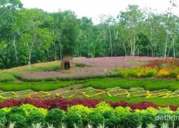 Merangin Garden