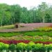 Merangin Garden