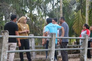 Peninjauan ini dilakukan sebagai respon cepat atas keluhan masyarakat terkait parit yang sudah tidak berfungsi optimal