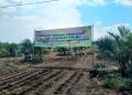 Program ini merupakan bagian dari inisiatif Tanggung Jawab Sosial dan Lingkungan (TJSL) Perusahaan serta mendukung arahan Kementerian Pertanian dalam percepatan tanam padi di lahan
