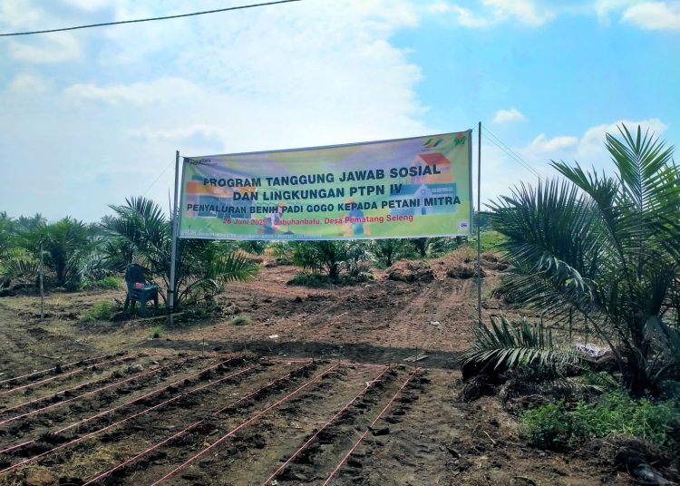 Program ini merupakan bagian dari inisiatif Tanggung Jawab Sosial dan Lingkungan (TJSL) Perusahaan serta mendukung arahan Kementerian Pertanian dalam percepatan tanam padi di lahan
