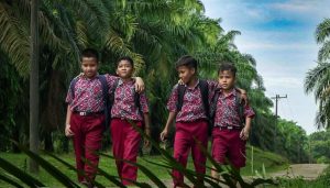 Paud, TK, dan sekolah-sekolah buat anak-anak usia dini tersebut menjadi pondasi awal pendidikan bagi anak-anak yang ada di kebun