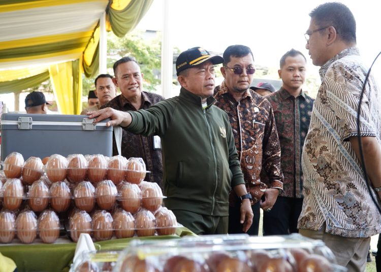 Atas nama Pemerintah Provinsi Jambi saya sampaikan apresiasi dan terima kasih kepada LPP TVRI Jambi serta pihak terkait yang telah menginiasi adanya kegiatan ini