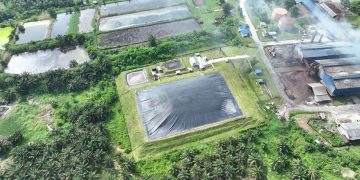 Melalui Pabrik Kelapa Sawit Lubuk Dalam, Riau, yang mengolah limbah cair sawit menjadi biogas untuk co-firing, perusahaan telah memiliki sertifikat Sertifikat Pengurangan Emisi Gas Rumah Kaca yang dapat didaftarkan di IDX Carbon