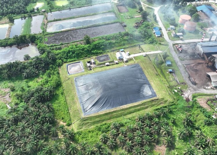Melalui Pabrik Kelapa Sawit Lubuk Dalam, Riau, yang mengolah limbah cair sawit menjadi biogas untuk co-firing, perusahaan telah memiliki sertifikat Sertifikat Pengurangan Emisi Gas Rumah Kaca yang dapat didaftarkan di IDX Carbon