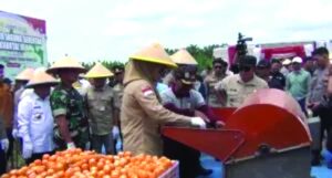 Gubernur Jambi Al Haris mengungkapkan bahwa pada tahun 2024 lalu, luas lahan jagung di Provinsi Jambi mencapai 3.354 hektare dengan total produksi 15 ribu ton. Untuk tahun 2025 ini, hingga September, produksi jagung baru mencapai 10 ribu ton