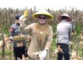 Panen raya ini dihadiri oleh Gubernur Jambi Al Haris, Kapolda Jambi Irjen Pol Krisno H. Siregar, Danrem 042/Gapu Brigjen TNI Heri Purwanto, S.E., M.Sc, serta Bupati Tanjabtim Dillah Hikmah Sari, S.T. Acara juga diikuti secara virtual melalui Zoom Meeting oleh jajaran Kementerian Pertanian RI