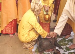 Gelar ini ibarat pohon rimbun yang menaungi rakyat, memberikan kesejukan dan perlindungan bagi seluruh warga Tanjung Jabung Timur