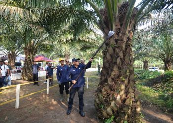 Hari Pangan Nasional