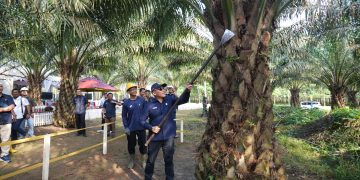Hari Pangan Nasional