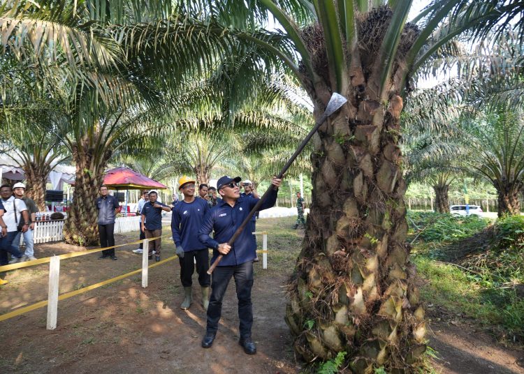 Hari Pangan Nasional