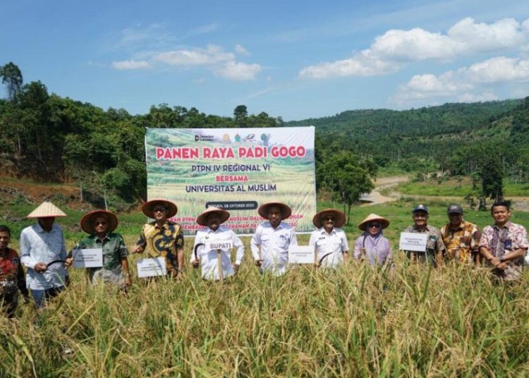 Ketahanan Pangan