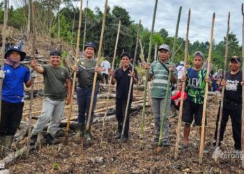 ’Tradisi budaya itu dilakukan dari nenek moyang kita dulu, untuk meningkatkan ketahanan pangan. Kegiatan itu dilakukan secara bergiliran, dari kebun keluarga satu ke kebun keluarga lainnya