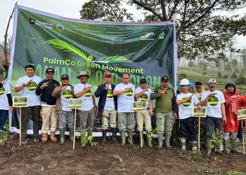 Tanam Pohon