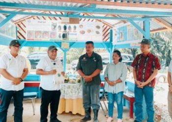 Kasus telah dilaporkan ke Polsek Tapung dan masih dalam penelusuran. PTPN IV Regional III memastikan mengawal proses hukum hingga tuntas, serta memperkuat pengamanan kebun, patroli, dan sinergi dengan aparat