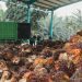 Dalam dua tahun terakhir, entitas PTPN IV Regional III tersebut memperkuat tata kelola on-farm berbasis data melalui implementasi trossen telling atau perhitungan bunga buah sebagai fondasi estimasi produksi