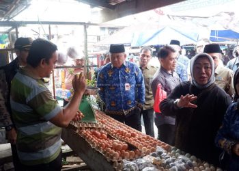 Sekda Budhi Hartono, mengapresiasi atas kunjungan Tim Satgas Saber pangan di Bumi Sailun Salimbai