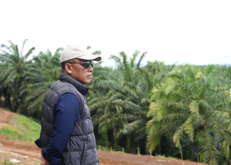 Saat ini prediksi kami menunjukkan peluang 50–60 persen terjadinya El Nino lemah hingga moderat setelah semester kedua