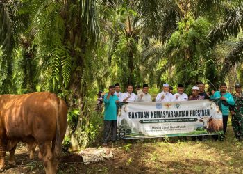 A. Khafidh menyampaikan bahwa bantuan ini merupakan bentuk perhatian dan kepedulian dari Presiden terhadap masyarakat di daerah, khususnya di Desa Empang Benao