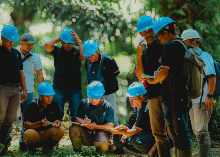 Direktur Utama PTPN IV PalmCo Jatmiko K. Santosa mengatakan, angka tersebut tidak lepas dari proses transformasi dan integrasi sejumlah entitas perkebunan negara yang kini berada di bawah PalmCo