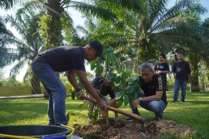 Lingkungan yang sudah bersih kami tanami pohon-pohon buahan yang bermanfaat. Biar tambah asri dan udara menjadi bersih dengan banyaknya pohon-pohon hijau