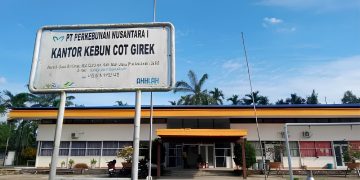 Kebun Cot Girek PTPN IV Regional 6, yang kerap di okupasi paksa dan dijarah oleh sekelompok orang yang mengatasnamakan diri sebagai warga setempat. Kegiatan ini muncul akibat kebun negara tersebut akan segera berakhir masa HGU