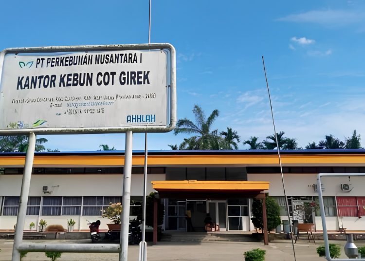 Kebun Cot Girek PTPN IV Regional 6, yang kerap di okupasi paksa dan dijarah oleh sekelompok orang yang mengatasnamakan diri sebagai warga setempat. Kegiatan ini muncul akibat kebun negara tersebut akan segera berakhir masa HGU