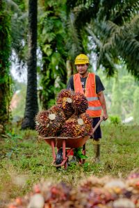 Total Target 4 bulan ini, mencapai 116 persen lebih