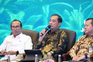 Dari sisi sawit rakyat, kami berharap petani dapat mengubah pola pikir. Dalam mengelola kelapa sawit, jangan hanya berpikir mengenai harga