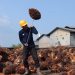 Kenaikan total produksi TBS ini juga diimbangi dengan lonjakan produktivitas tanaman (Protas) yang mencapai 9,48 persen